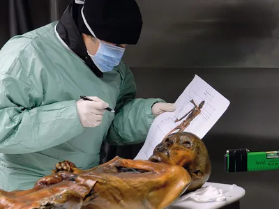 &Ouml;tzi the Iceman has 61 tattoos across his abdomen, lower back, lower legs and left wrist.