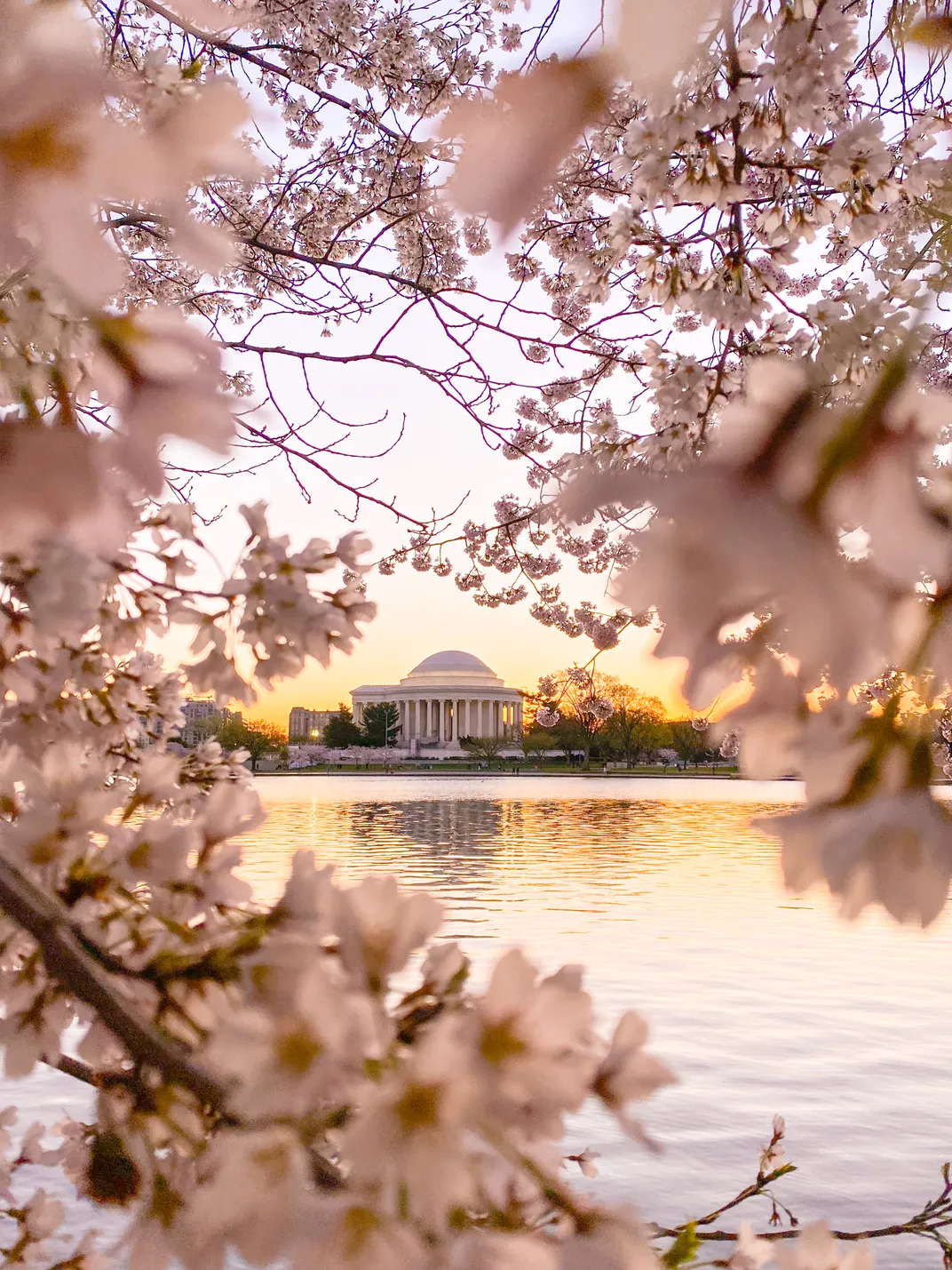 Jefferson Memorial