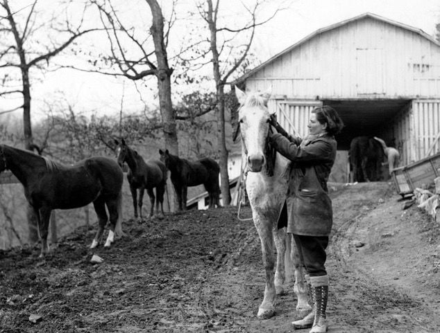 A courier cares for one of the FNS' horses