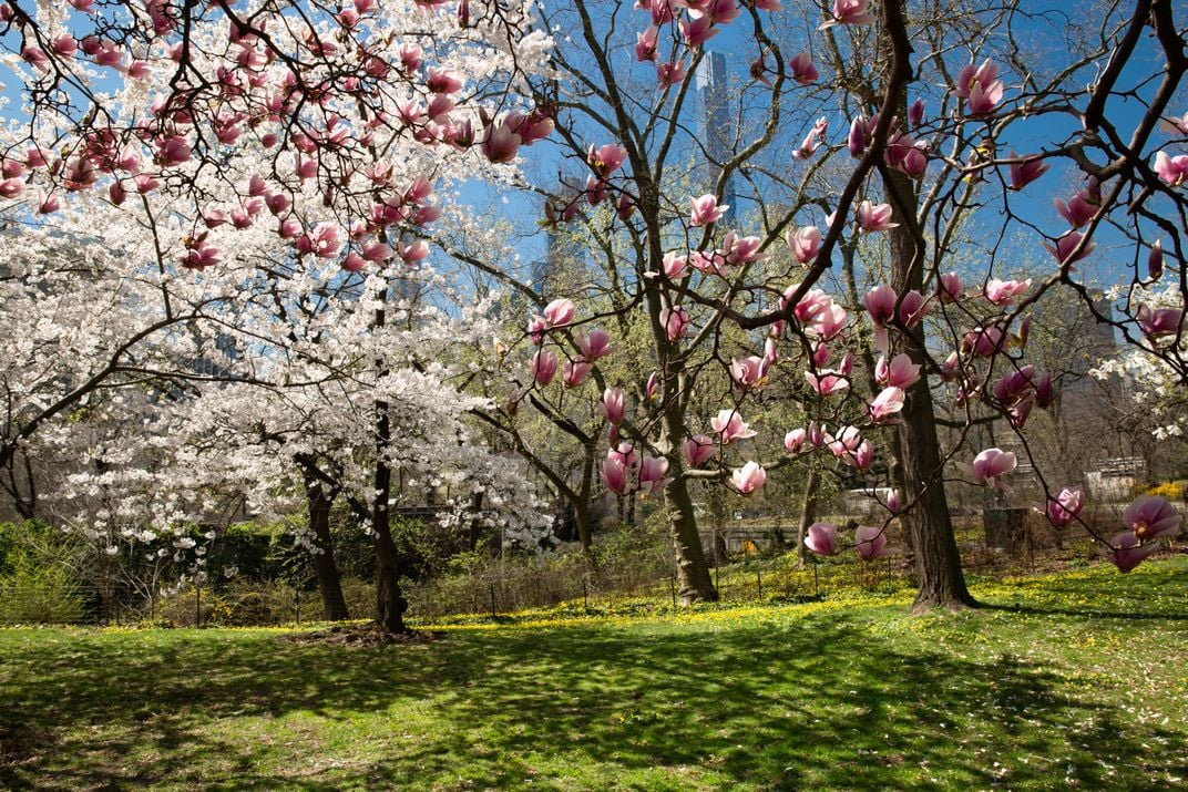 Central Park