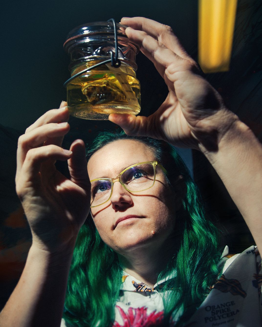 Mollusk expert Jessica Goodheart holds a nudibranch specimen in her lab at the American Museum of Natural History. The bright slugs lose their colors when they die.