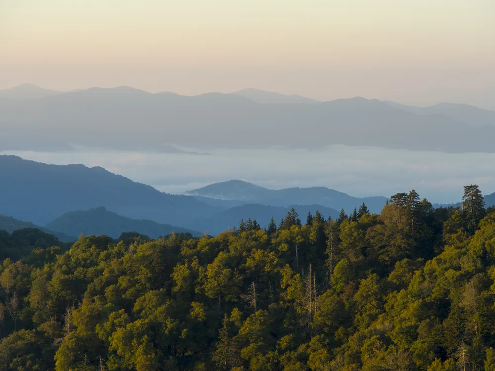 scenic view of mountains and forests