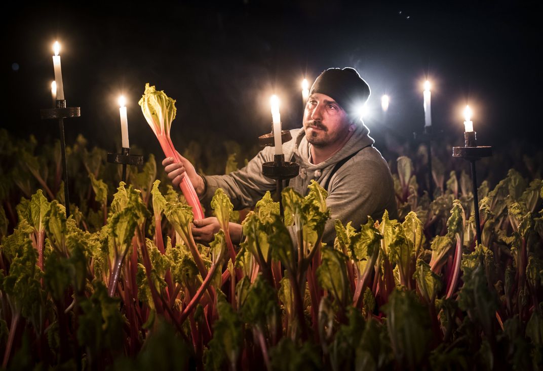 Worker at Oldroyd's Farm