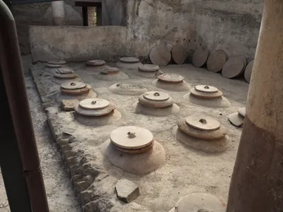 Partially buried dolia at a&nbsp;wine cellar in the town of Boscoreale, Italy