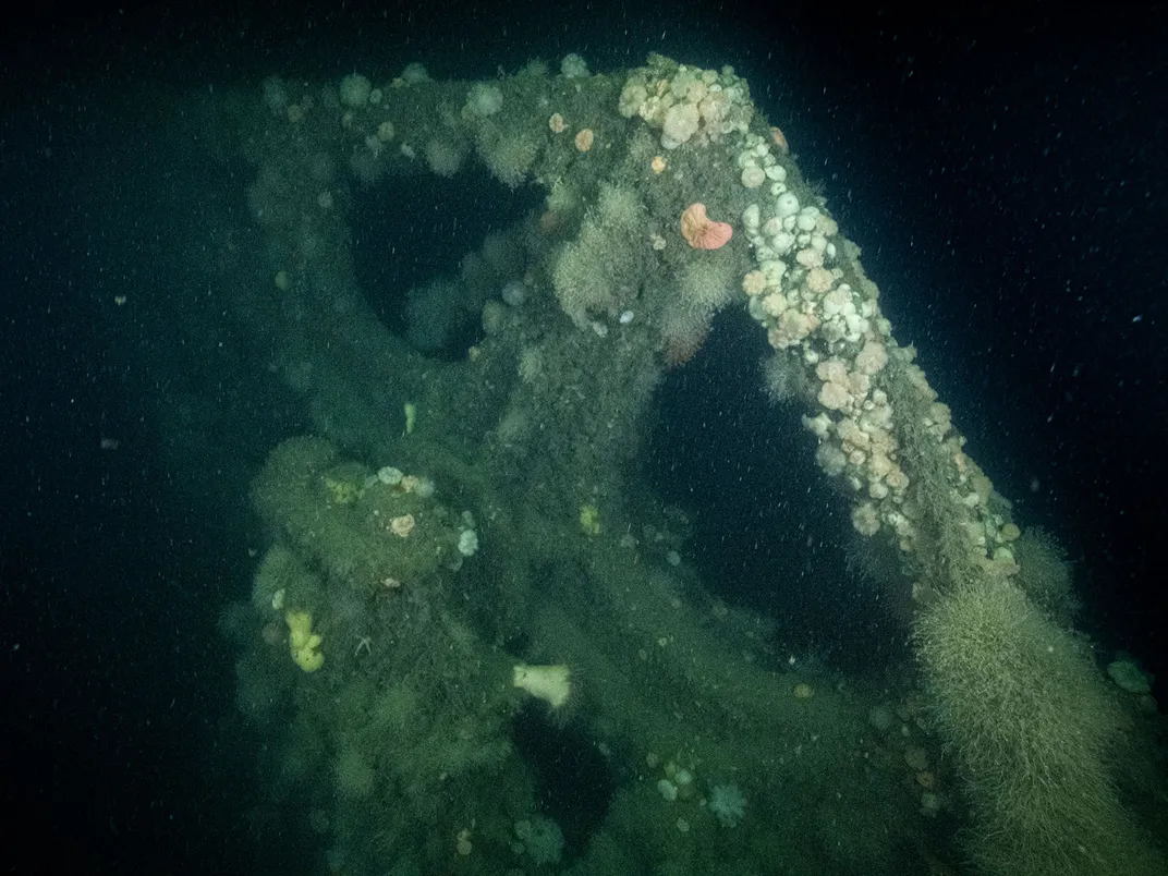 Stellwagen Bank Shipwreck